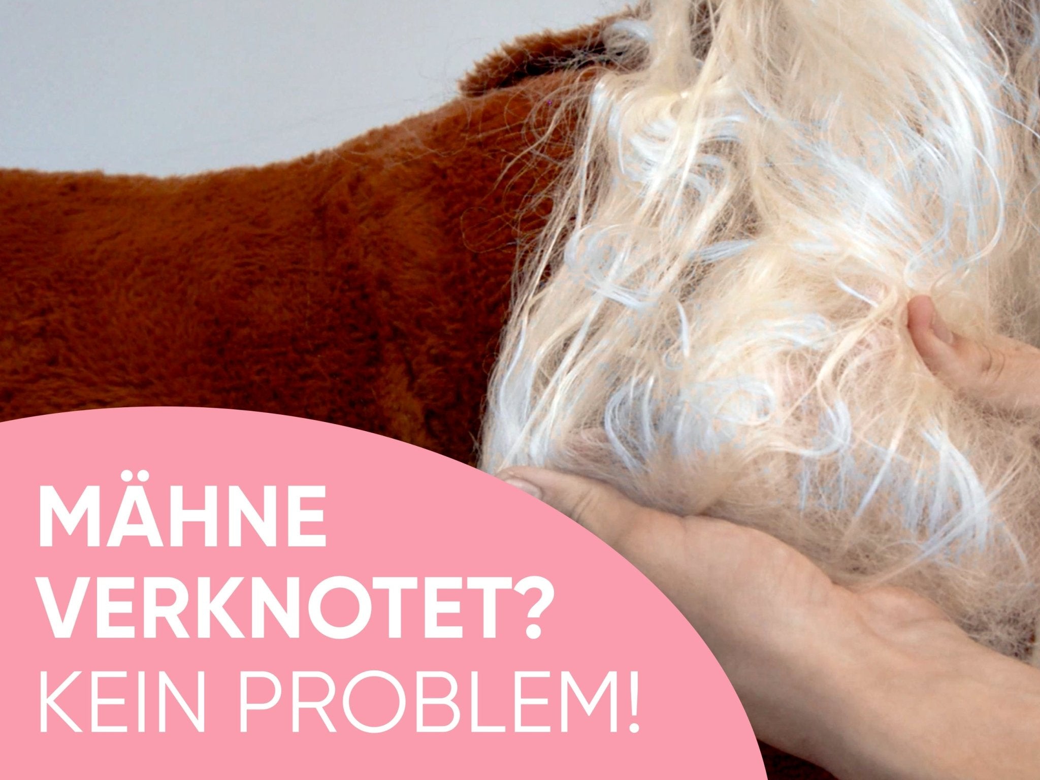 Mähne verknotet? So wird sie wieder schön! - Pink Papaya Toys